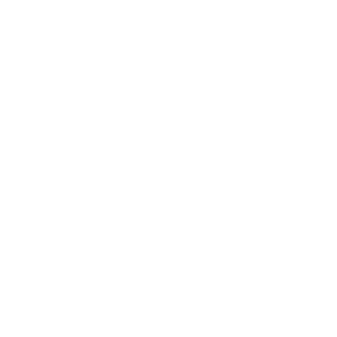 tiny tipper wheelchair van hire sunshine coast logo